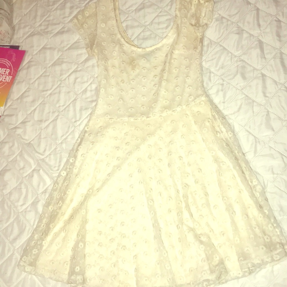 Beige Lace Skater Dress